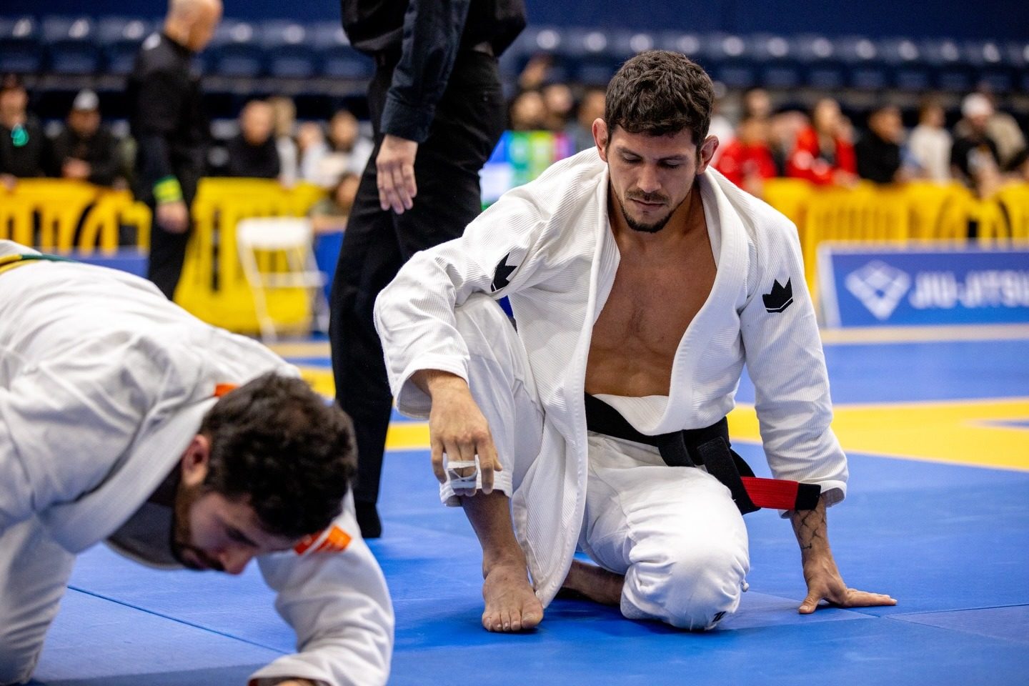 Leandro Gomes mid-match